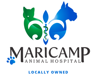 Maricamp-Animal-Hospital-veterinarian-in-ocala-fl